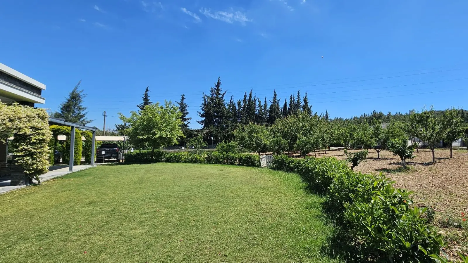 Mature garden